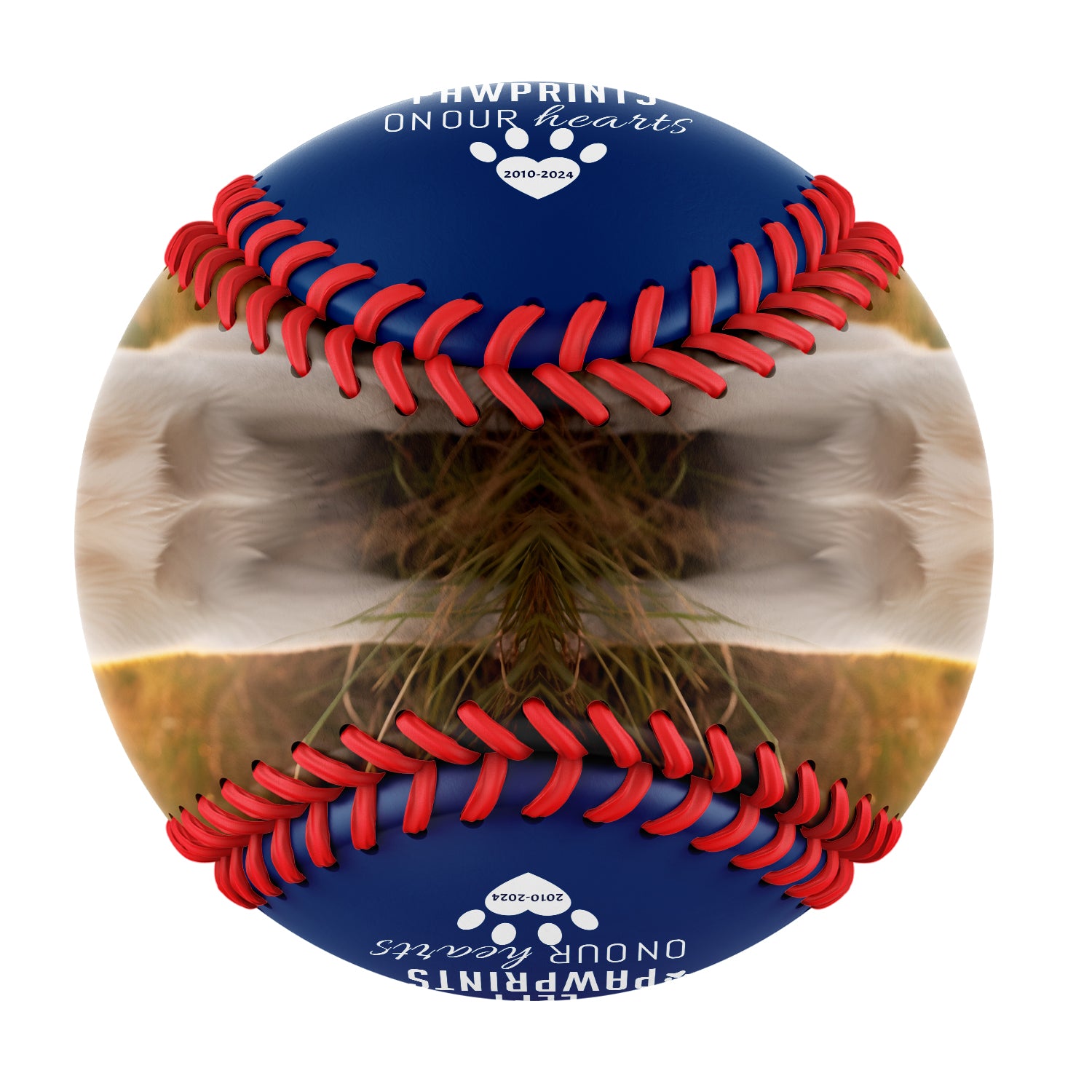 Personalized Royal Dog Pet Memorial Photo Baseballs
